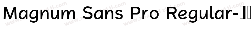 Magnum Sans Pro Regular字体转换